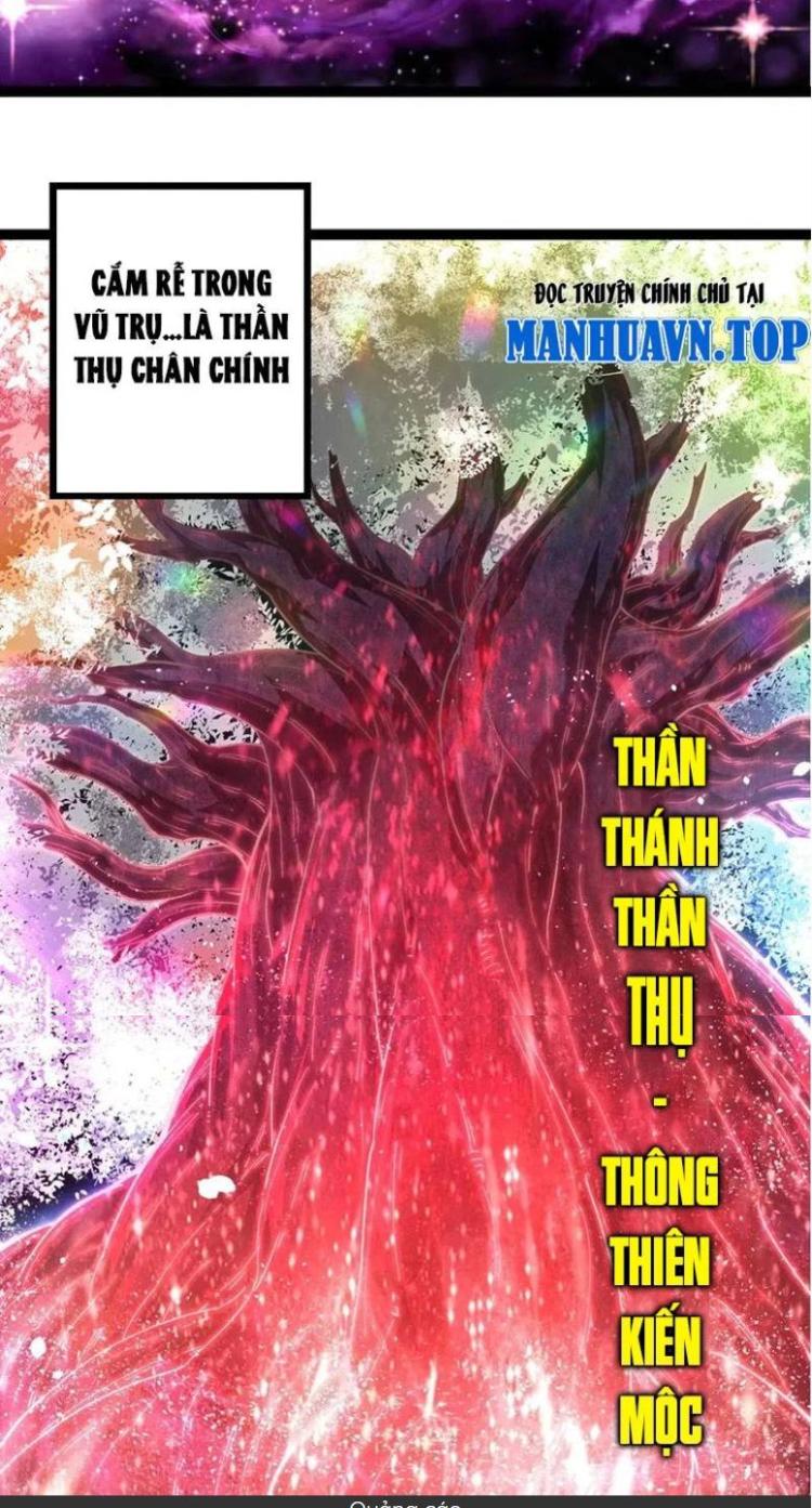 Đọc truyện [Leak] Chuyển sinh thành liễu đột biến - Chap 255